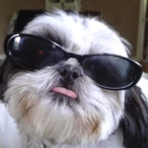 Meet your Posher, Janay